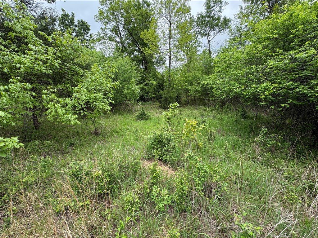 34-4S-26W RURAL ACREAGE - Land