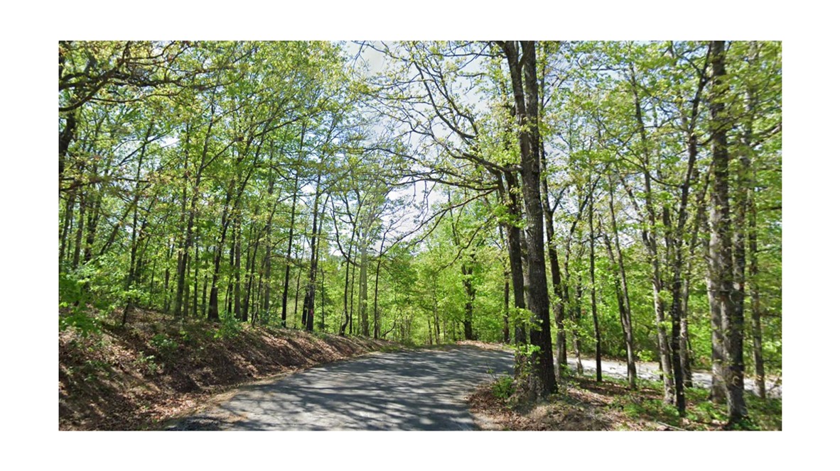 Extra large lot with slope. Backs up to POA land with Landline bike trail running through. Quick access to Chelsea Rd, Highway 71, Bella Vista Recreation Center, and Kingswood Golf Course.