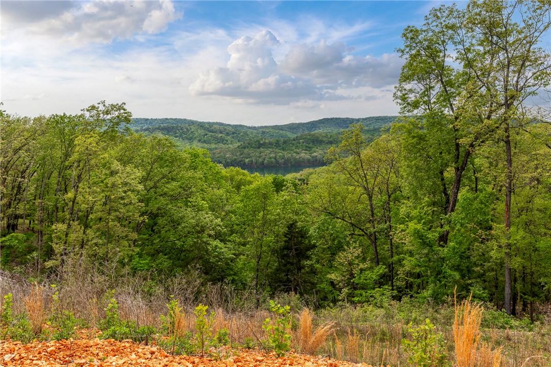 Indian Hills Rurban - Land