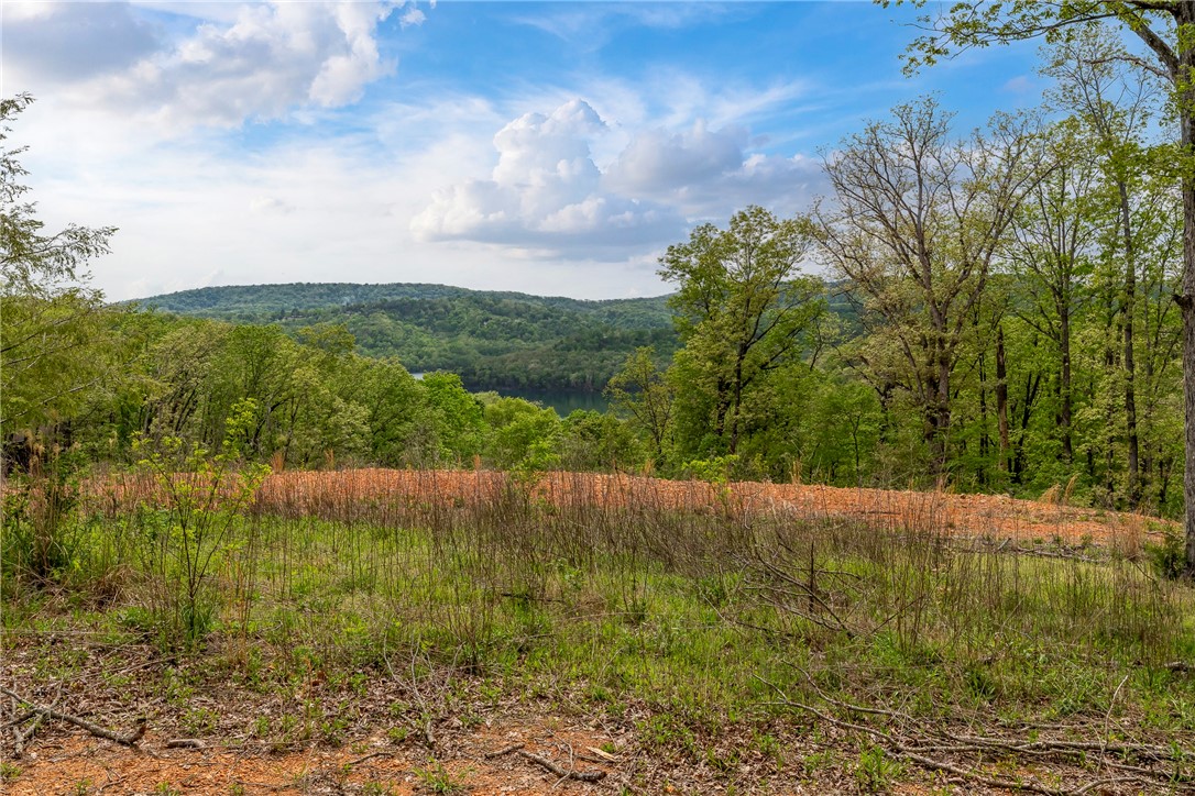 Indian Hills Rurban - Land