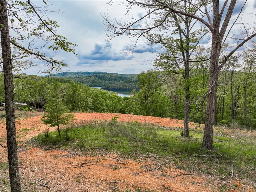 Indian Hills Rurban - Land