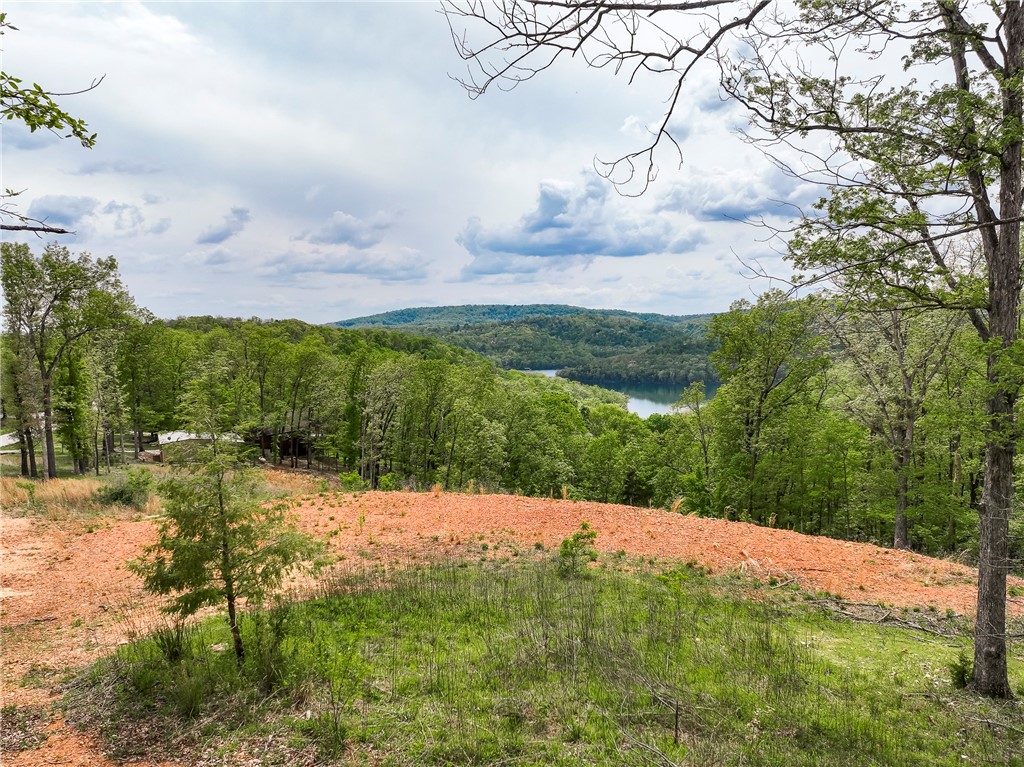 Indian Hills Rurban - Land
