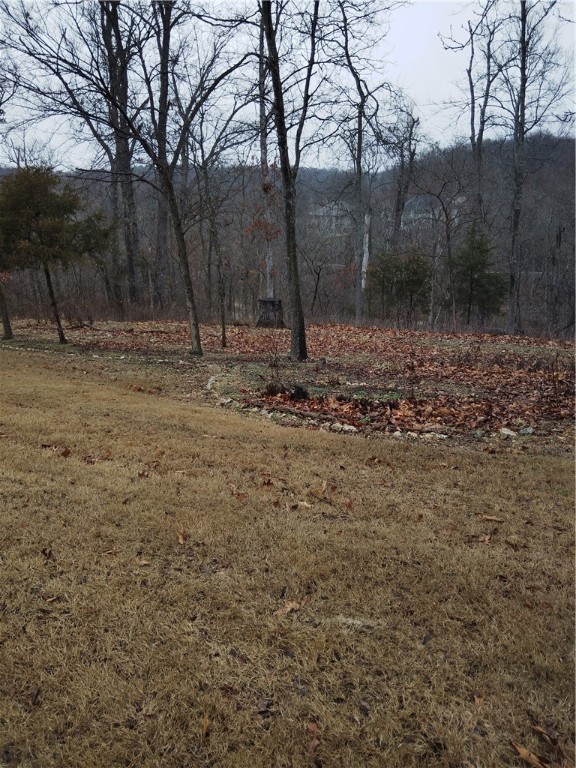 Sewered Lot close to School and Blowing Springs and bike trails. Great lot to build your dream home.