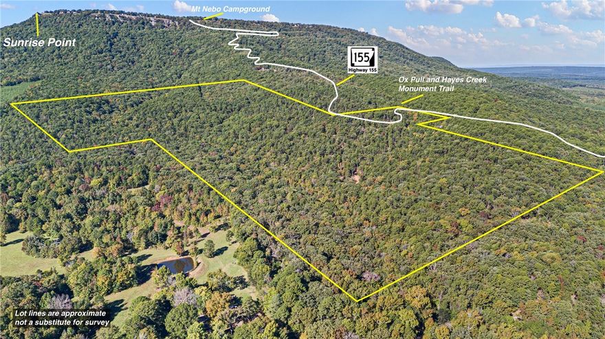 Discover 136 acres of unmatched beauty at the foot of Mount Nebo— a truly one-of-a-kind legacy property. This rare tract adjoins Mount Nebo State Park and directly borders the world-renowned Monument Trail mountain biking system, offering instant access to some of the best outdoor recreation in the region. With multiple breathtaking views, mature hardwoods, and an abundance of wildlife, the land feels like a private sanctuary. The development potential is incredible or hold the property as your private retreat! Whether preserved for nature, developed into a series of cabins, Airbnbs, lodge, resort, or an exclusive private retreat, the possibilities are endless. The combination of scenery, views, location, and direct trail access makes this a property you simply won’t find again.