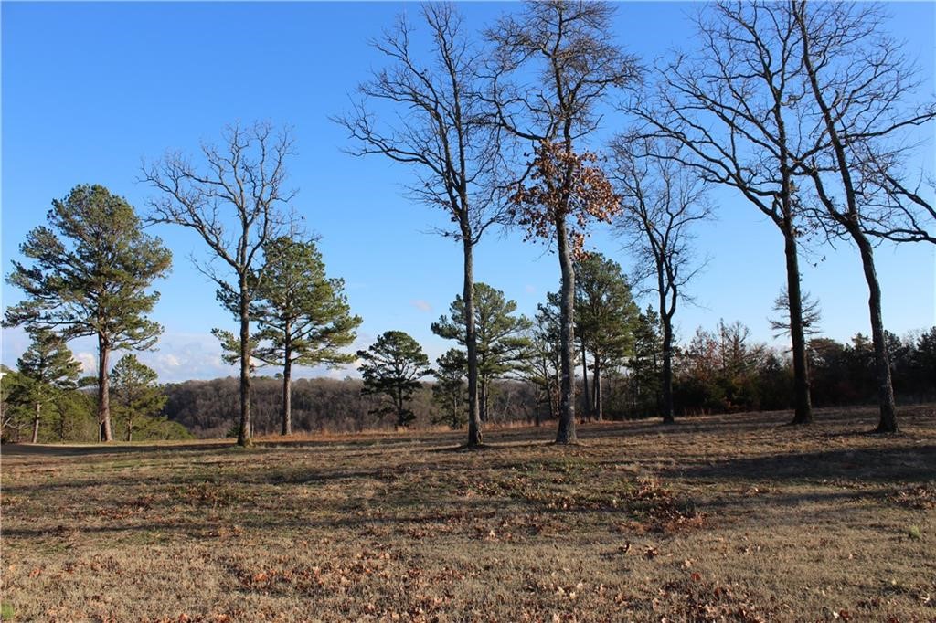 Unit 301 Holiday Island - Land