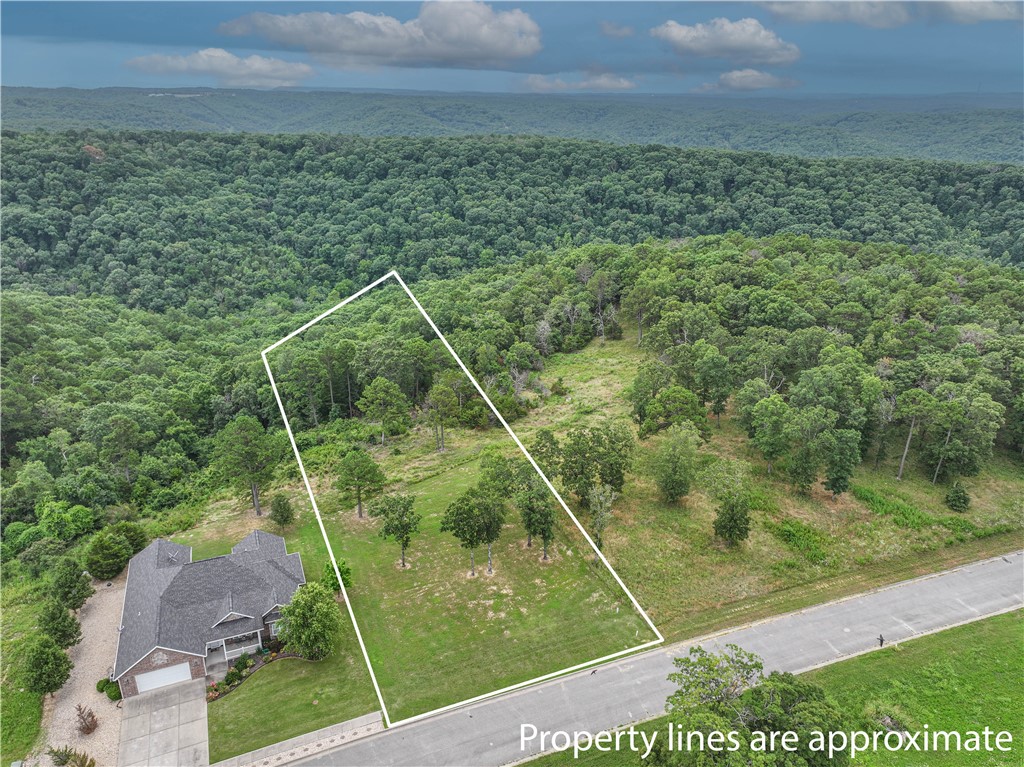 What a fabulous view !! This .67 acre lot is perfect for your Ozark dream home with water, sewer and electricity at the street. Within minutes of the amenities-shopping, banking, restaurants, convenience store, post office and more! You must visit this lot to appreciate all it offers.