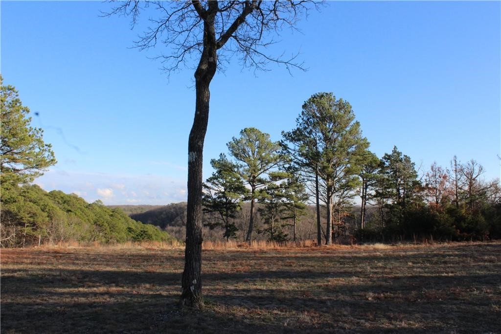 Unit 301 Holiday Island - Land