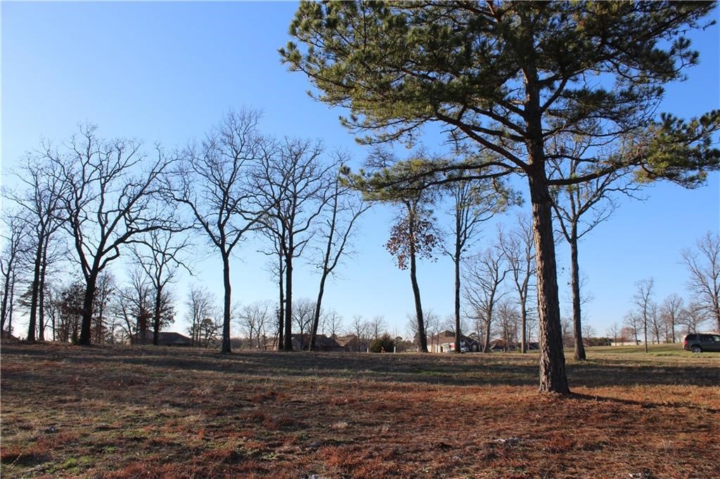 Unit 301 Holiday Island - Land