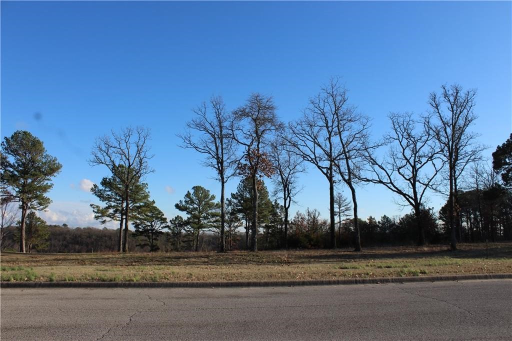 Unit 301 Holiday Island - Land
