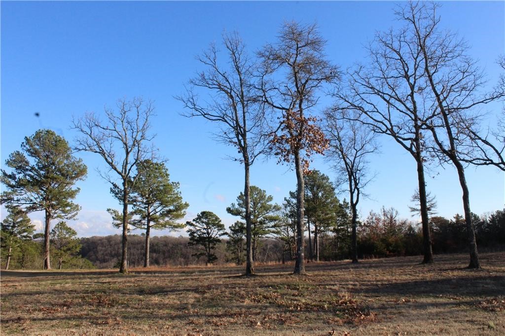 Unit 301 Holiday Island - Land