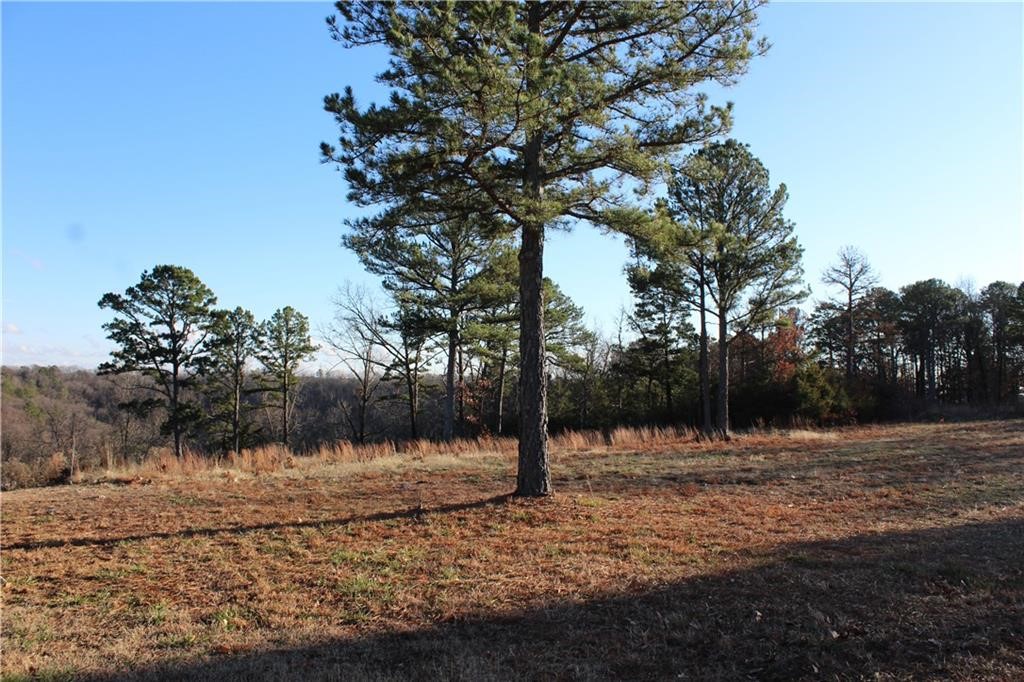 Unit 301 Holiday Island - Land