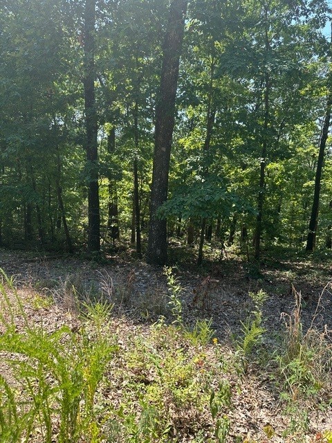 This 0.29 acre lot is down the road from The Back 40 Trail. Several new homes in the area. Only 20 minutes from the I-49 exit at 8th Street (Exit 87).