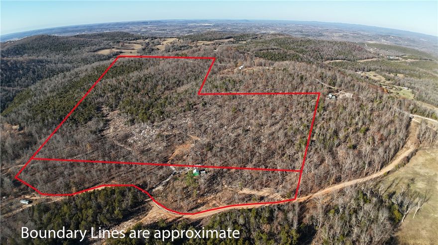 Are you looking for your very own Ozark hillside retreat? This 38AC M/L is located in Rea Valley, AR surrounded by the beautiful Ozark mountains with its own private well, electricity, fiber internet. and a neat little woodworking shop loaded with tools that's ready to be finished the way you like! A natural spring runs year-round and the property sports multiple building sites and has trails cut throughout, making ATV travel extremely easy.
