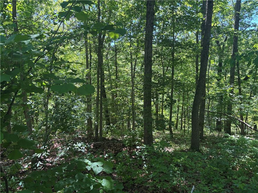 Tucked away at the end of a quiet cul-de-sac in Bella Vista, this beautiful 0.36-acre wooded lot offers the perfect opportunity to build your dream home surrounded by nature and privacy. With no existing development on the property, you’ll have a blank canvas to design exactly what you want while enjoying the peaceful setting that makes Bella Vista so desirable.

The gently sloping terrain provides character and potential for a custom build with scenic views and added privacy. Mature trees create a serene natural backdrop, making this lot ideal for anyone seeking a quiet retreat while still being close to all the amenities Bella Vista has to offer — including golf courses, lakes, trails, parks, and nearby Northwest Arkansas conveniences.

Whether you’re looking to build now or invest for the future, this cul-de-sac lot combines privacy, natural beauty, and potential in one attractive package.
