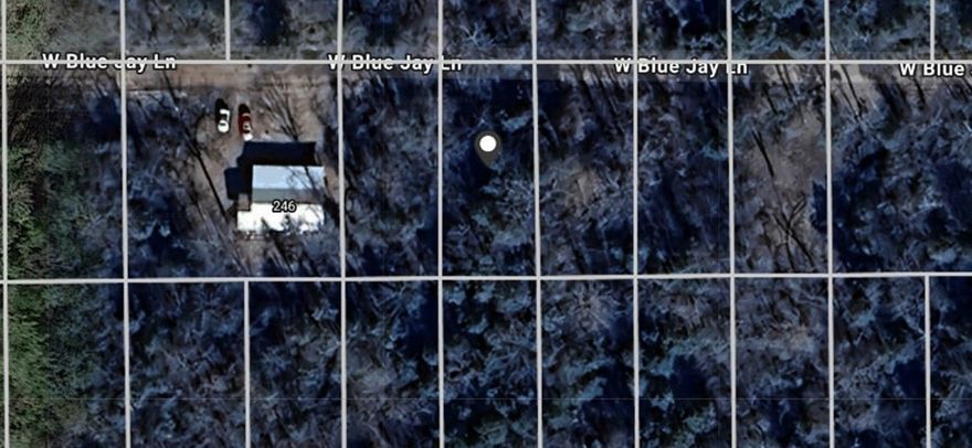 Nice vacant wooded lot