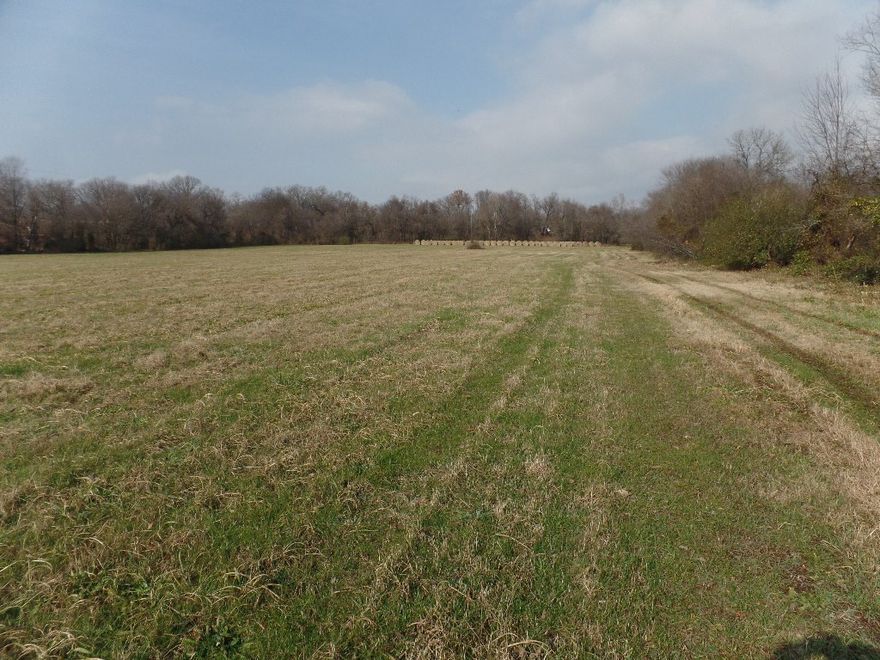 Mineral rights are reserved and do not convey. Beautiful unique property with Flint Creek on the property.