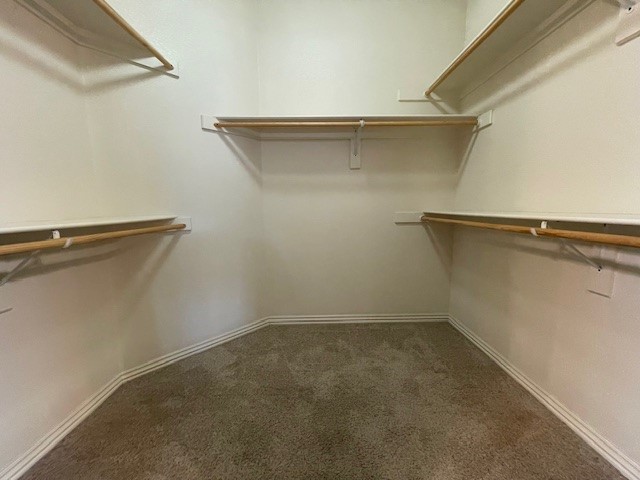 Rupple - Residential Lease