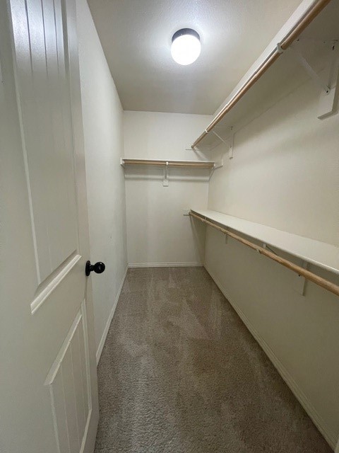 Rupple - Residential Lease