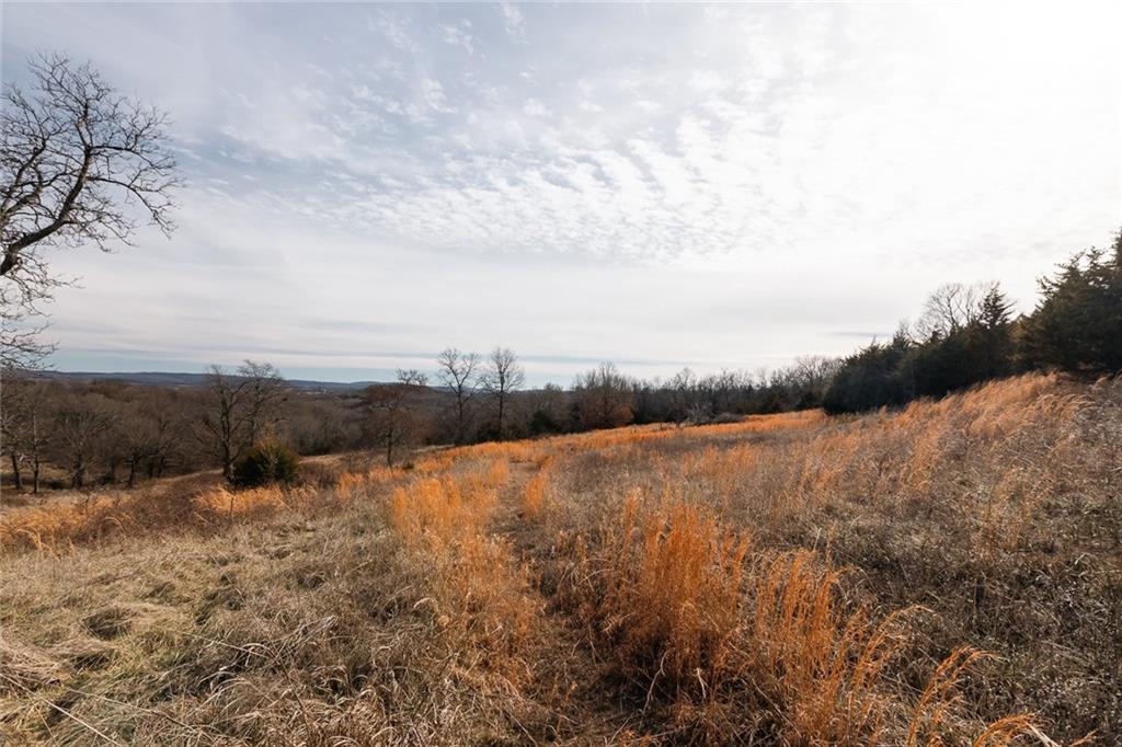 Kessler Road Dev Llc T - Land