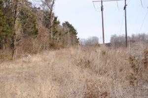 This 8 acres m/l has trails for hiking, riding 4 wheelers & exploring. It's not unusual to see wild turkey & deer wandering the area. The acreage meanders straight up the hill as the power line angles across the property. As you follow the highline & the brush stops, you'll see a web fence that is the boundary fence between the neighbor. The right hand side boundary extends about 10-15 foot to the right of the high line (a stake is in the ground to show boundary). Fencing around the perimeter ends just down the road to the left as you stand looking at the property and is joined with the pipe fencing of the next-door neighbor's property.