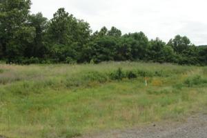 Just off the interstate is this land that is on both sides of the road. Many possibilities with this one. Great location just outside of Russellville and Pottsville.