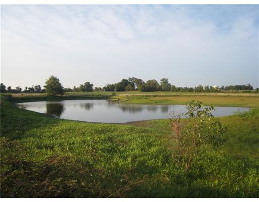 29-20-31-Centerton - Land