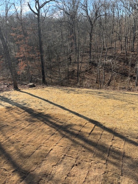 Ruthwell Sub Bvv - Residential