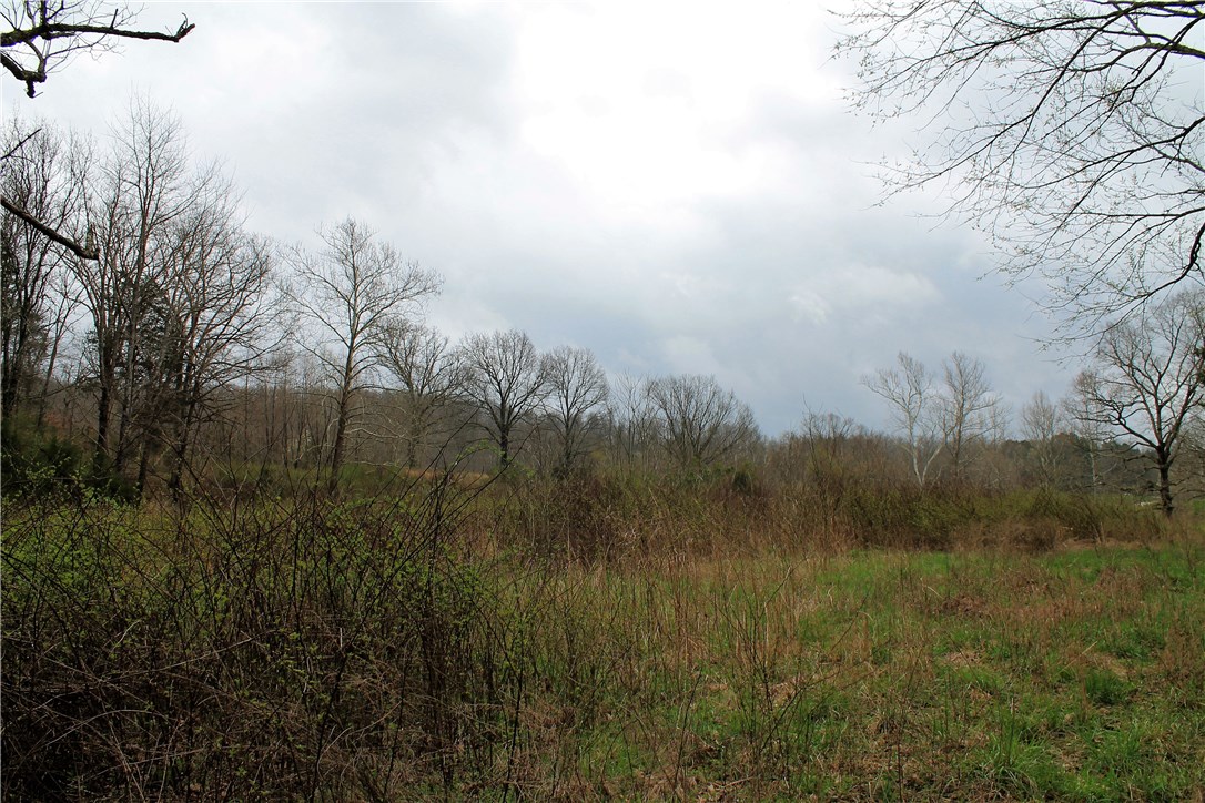 If you're looking for the perfect place to build you dream hillside home then look no further! This beautiful 34 acres is located right off of Highway 71. The property is partially wooded with some clear spots perfect for building. There is also a spring fed pond on the property and some incredible views throughout!