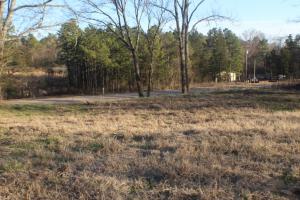 Need a nice set up for a new home or double wide? This would be perfect. Nice flat pad already there plus septic, electric, and water. Road has a good foundation start, but needs a little fill. Just the perfect amount of trees, and set back from the highway for peace and quite. Don't miss this opportunity to have your own home.