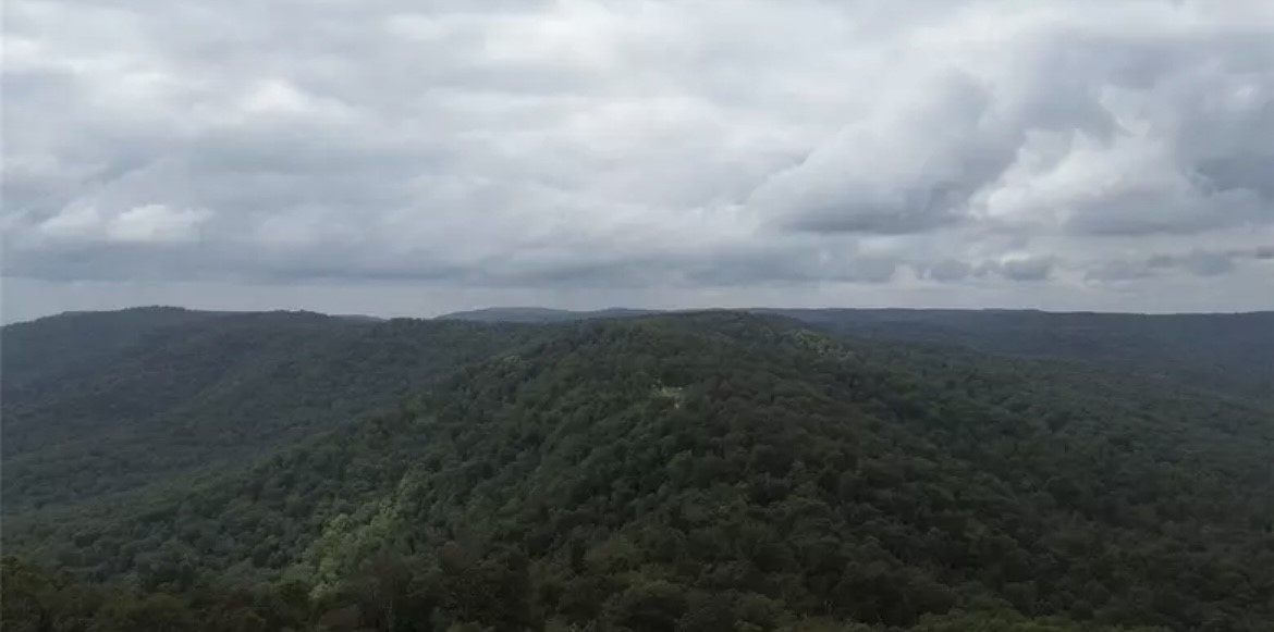 Breathtaking Ozark scenery with panoramic 50-mile views! If you're seeking solitude, outdoor adventure, and self-sufficient living, this off-grid retreat delivers. Situated on 38.77 acres and surrounded by national forest on all sides, it's the perfect escape for recreation, homesteading, or a weekend getaway. Just 3 miles from Highway 23 North. No restrictionsājust peace, privacy, and potential.