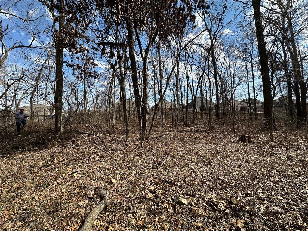 27-20-31 Bentonville - Land