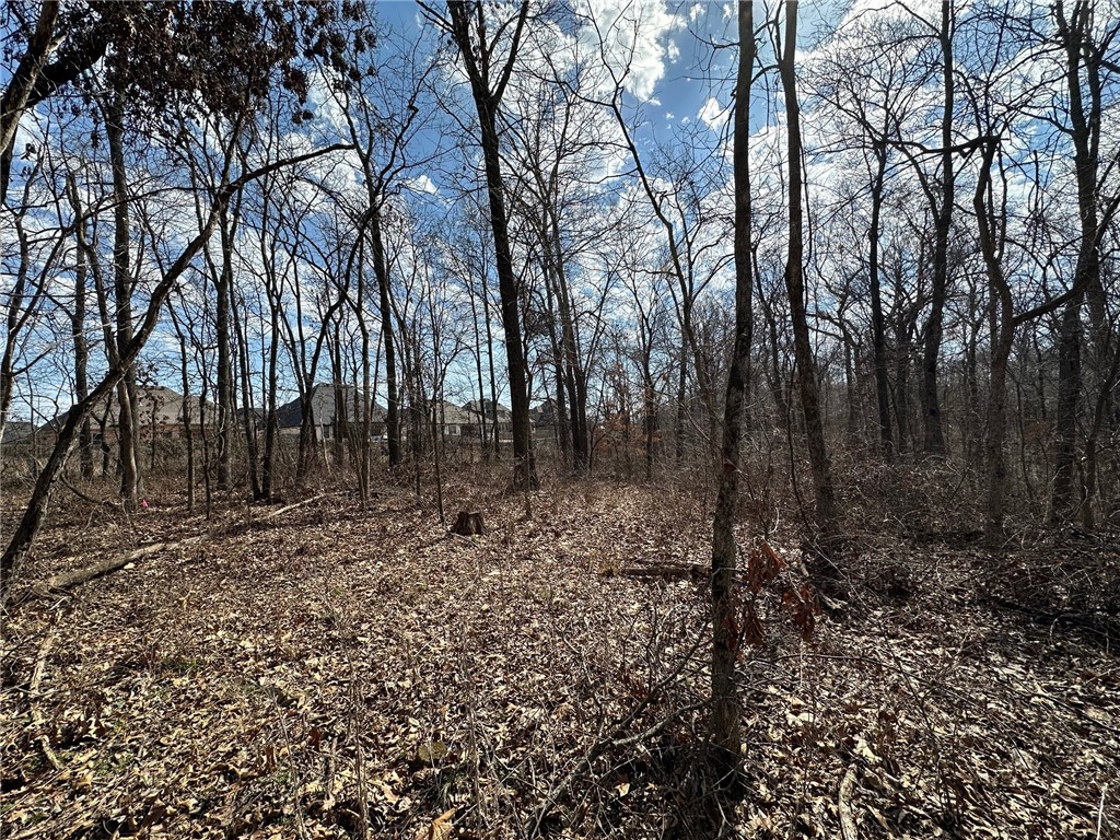 27-20-31 Bentonville - Land