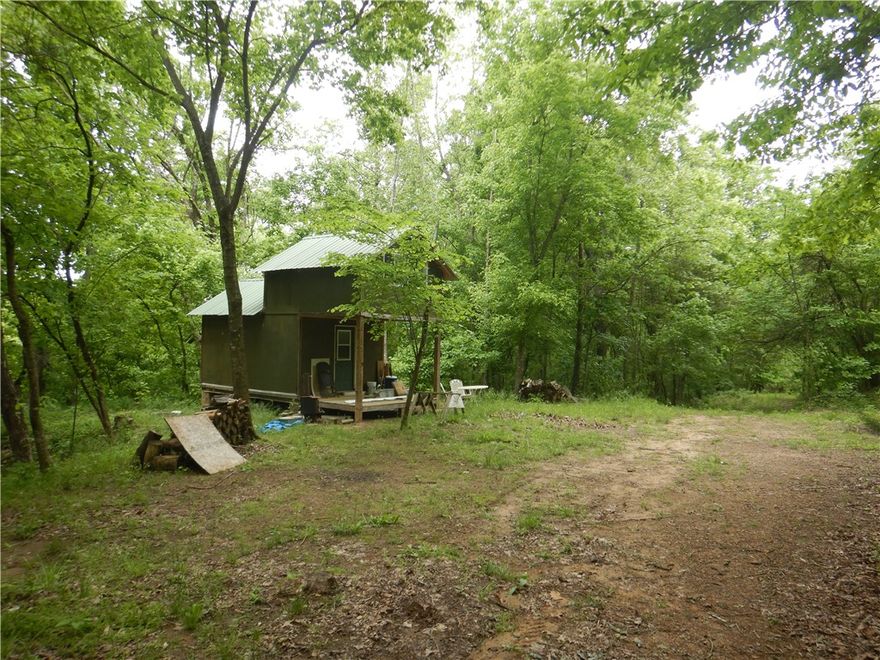 Discover the perfect blend of adventure and tranquility with this stunning 76-acre recreational property in Madison County, just off Highway 21. The property features two charming cabins, ideal for weekend getaways or extended stays, along with two picturesque spring-fed ponds. Numerous wet weather creeks meander through the property, creating an excellent habitat for local wildlife. Explore the breathtaking landscape, where abundant wildlife, including bear, deer, and turkey, makes it an ideal spot for hunting and wildlife observation. An established trail system allows for easy navigation throughout the property, perfect for hiking, biking, or horseback riding. Utilities, including electric and rural water, are available at the county road to the south, rural water tap has been approved and the meter is in process of being set. This property is a rare find for those seeking a private retreat or a recreational paradise, offering endless opportunities! Schedule your private viewing today!