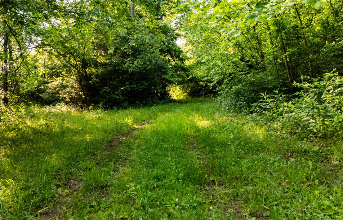 . - Land