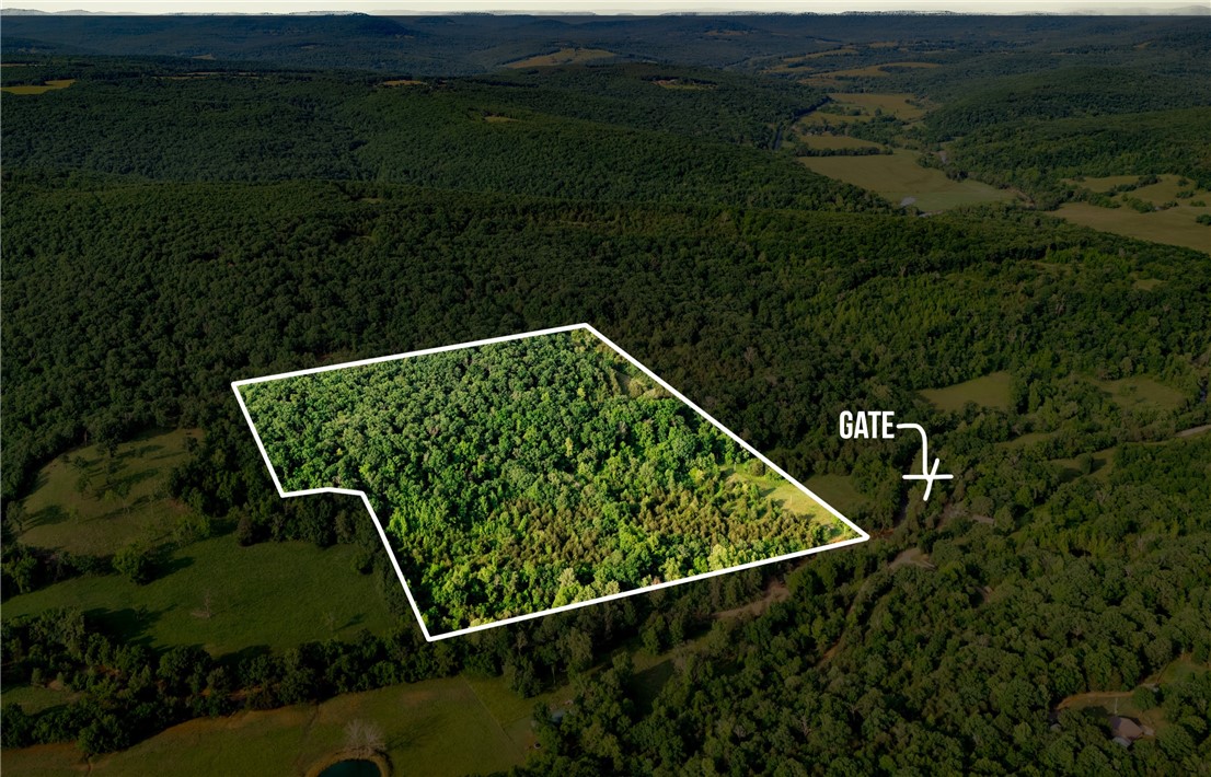 White Tail Deer, and Black Bear known to be on property. Tucked back with big views and even bigger potential—this land is the kind of place you don’t come across often. Whether you're thinking hunting, a weekend getaway, or building your dream home, it’s all on the table here. Surrounded by mature trees and plenty of wildlife, it offers privacy and a quiet setting with a view that makes it hard to leave.