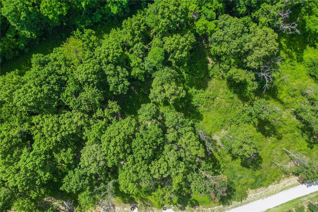 Round Mountain Estates - Land