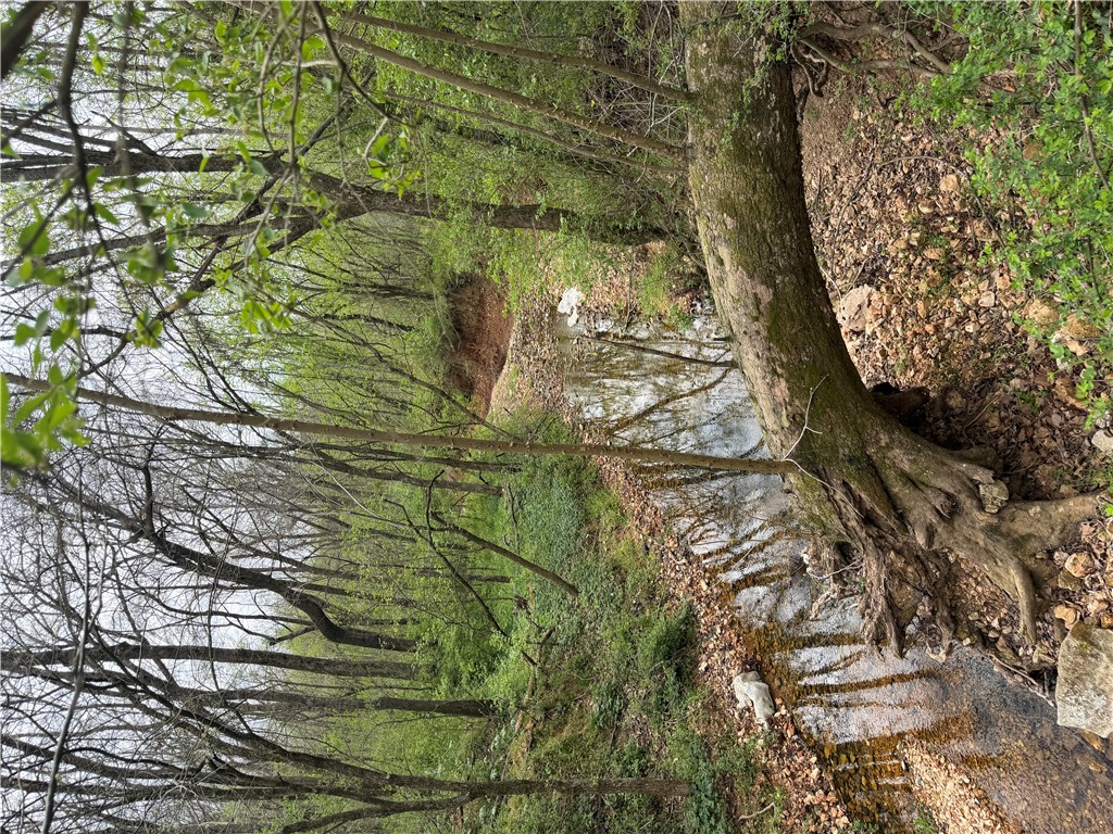 30-19-29-RURAL - Land