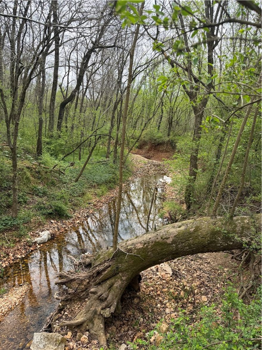 23.37 acres of endless possibilities. Enjoy the peace and privacy of rural living without sacrificing proximity to schools, shopping, dining, and downtown Rogers. Outside of City limits, no deed restrictions and plenty of room to roam, this is the development opportunity you've been waiting for. Near Beaverlake and all things Northwest Arkansas.