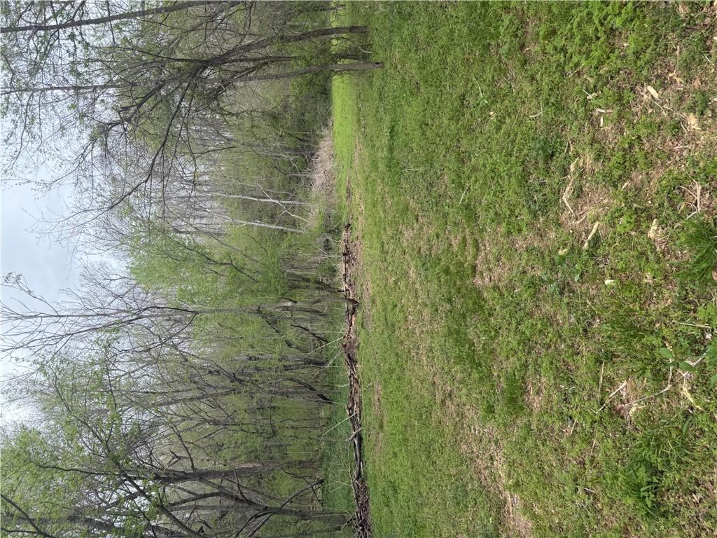 30-19-29-RURAL - Land