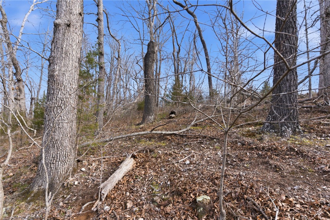 30-19-29-RURAL - Land