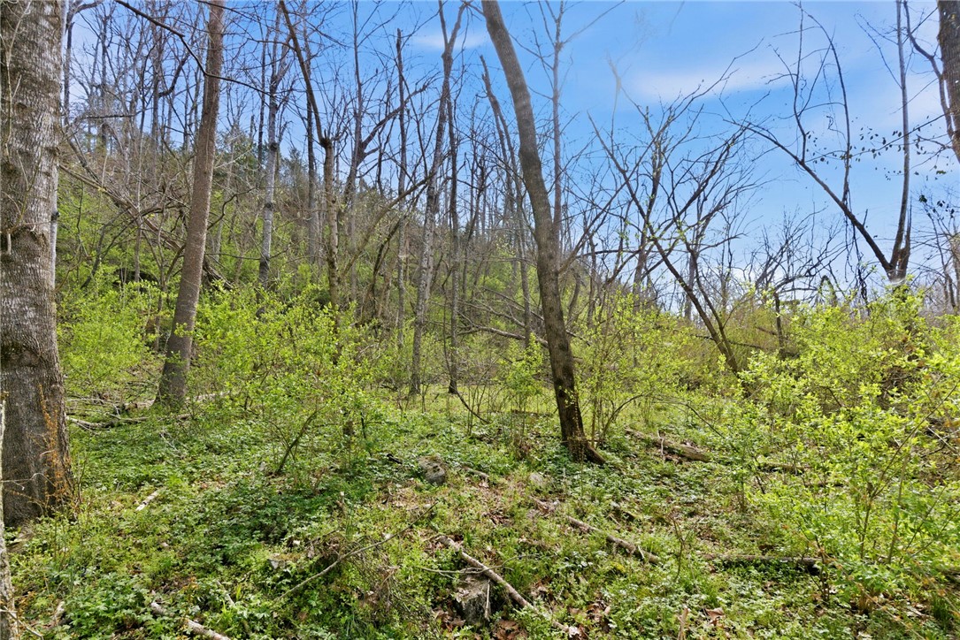 30-19-29-RURAL - Land