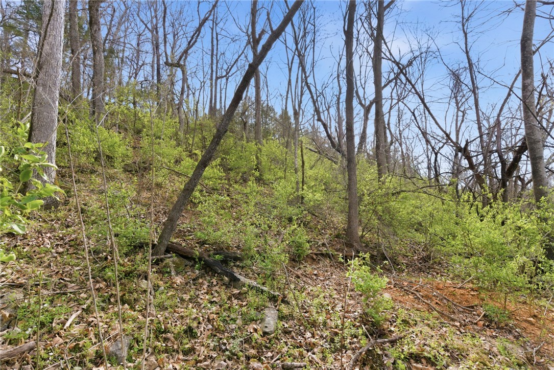 30-19-29-RURAL - Land