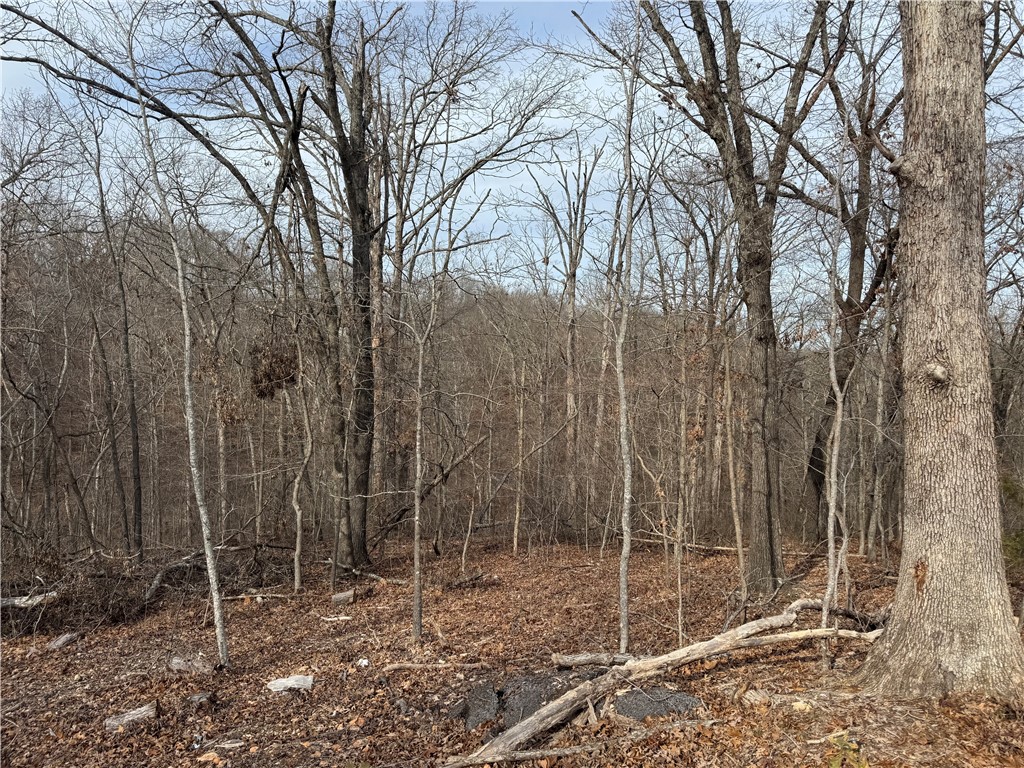 Selkirk Sub Bvv - Land