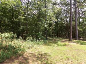 BOARDERS U.S. FOREST SERVICE LAND. This 198 acres lies in the beautiful Strawberry Loop area North of Lamar Arkansas. Beautiful views abound, lots of great sites for your new home plus a almost new 1 year old 3 bed/2bath manufactured home in pristine condition. The land boasts great access to good roads. The land has two wet- weather creeks, a spring, and a small pond. There is a old homestead house conveying at no value and several outbuildings. Call to get more details today!
