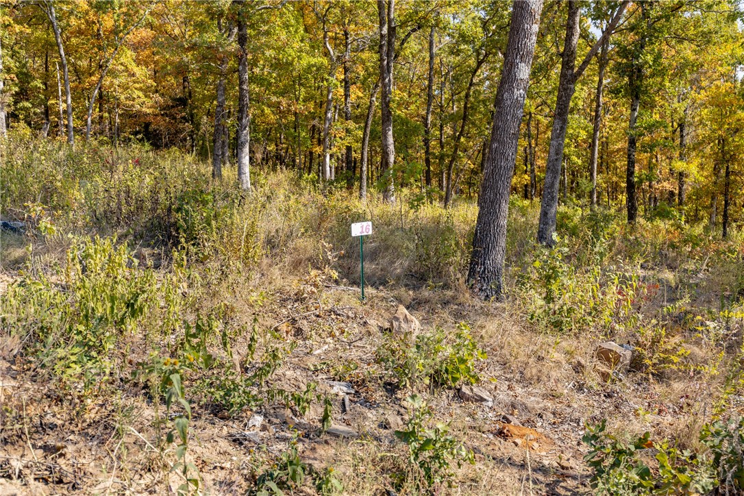 Welcome to Lot 16 (1.25 m/l ac) of Round Mountain Estates! When you step foot onto this lot you will feel like the surrounding mountains are hugging you! This lot is at the end of the street making it private and secluded. RME is a new, master planned, exclusive subdivision located 10 minutes west of Harrison, AR. The following utilities are already on site making the building process much easier for you; natural gas, fiber optic internet, electric, public water, and sewer. Interested in your family seeing the star lights instead of those city lights? RME is what you've been searching for! RME features a 350 +/- acre common area for its residents that includes a stocked fishing pond, Kissing Rock trail, natural springs to explore, Baby Canyon trail, incredible bluff lines to climb, and views for hundreds of miles that will not only take your breath away but will forever be etched in your memory! Neighborhood amenities coming soon.