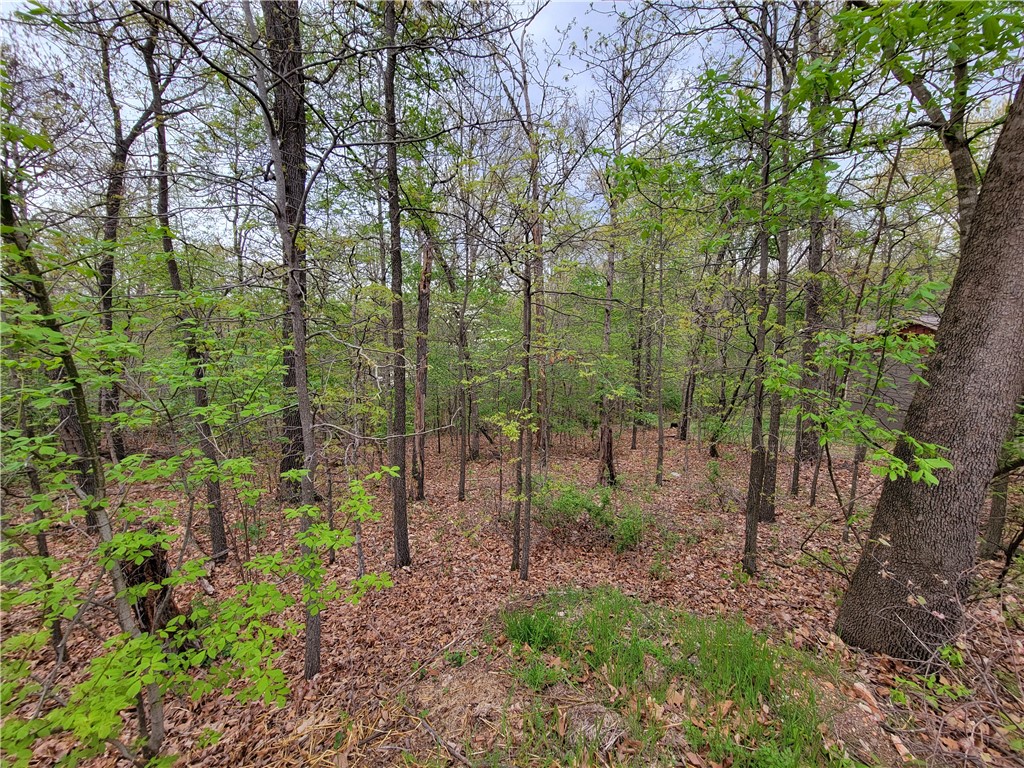 This lot has SEWER access and so much more! It's located on one of several trails in the area as it backs up to Rago trail and is located near Lake Brittany and Metfield golf course/clubhouse. Bentonville schools. Come check out this lot to build your new home on.