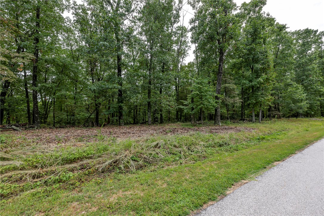 Whether you're seeking a serene retreat away from the hustle and bustle of city life or looking to build your forever home in a community teeming with recreational opportunities, this vacant lot in Garfield offers the perfect blend of natural beauty and modern conveniences. Minutes away from town and all that Rogers has to offer. Don't miss out on your chance to make your dreams a reality. Schedule your showing TODAY!!!