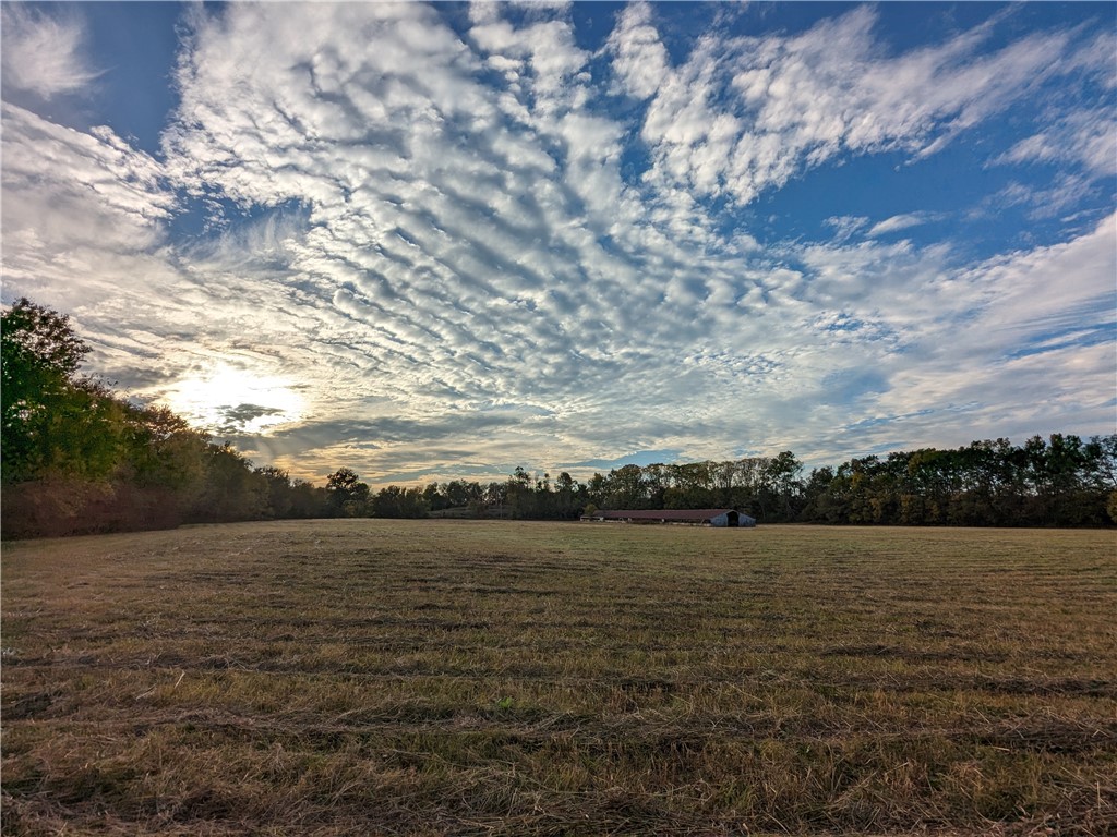 Rural Property - Land