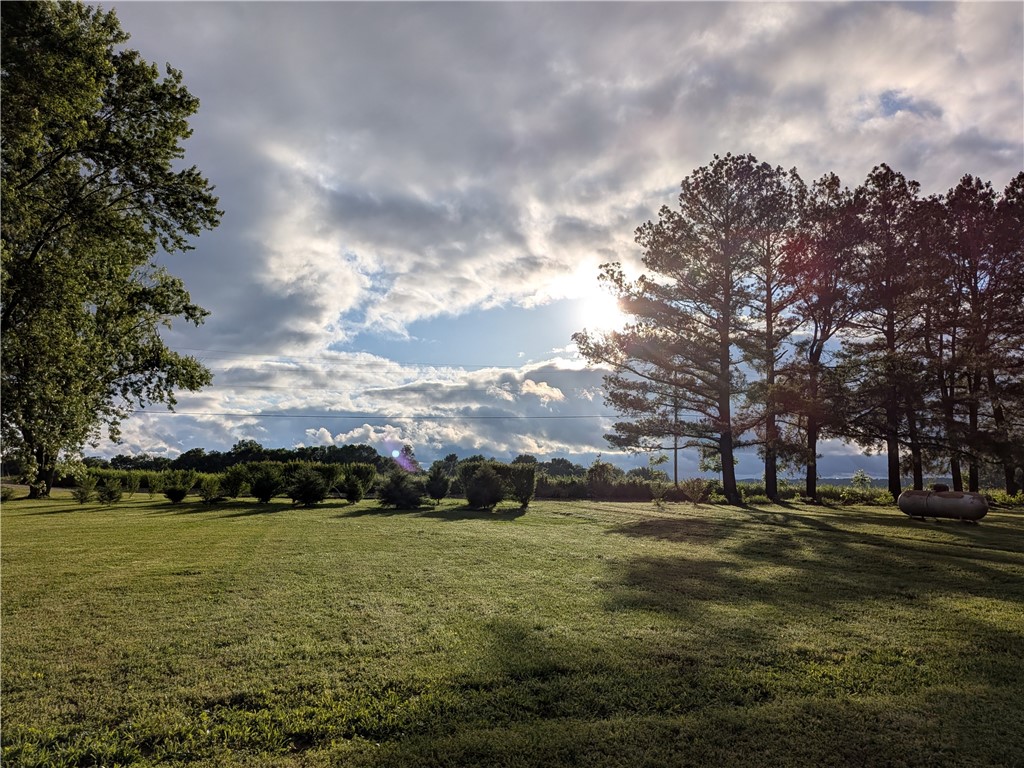 Rural Property - Land