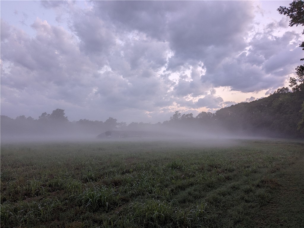 Rural Property - Land